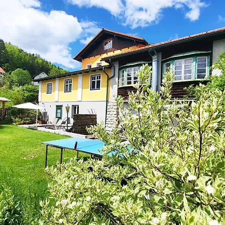 Holiday home Almliesl Gruppenhaus Puch-625 Puchenstuben